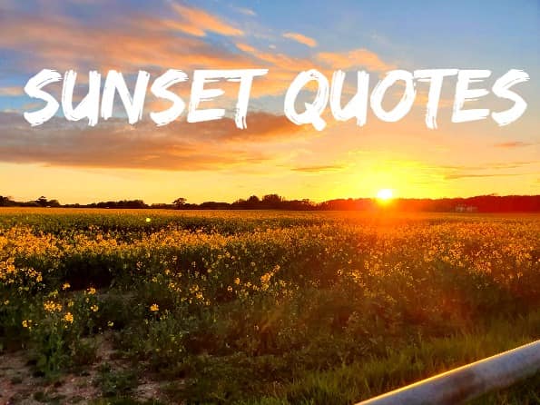 Sunset Photography Quotes