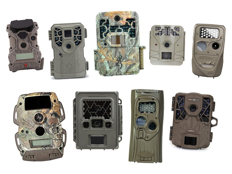 Best Easy to Use Trail Cameras