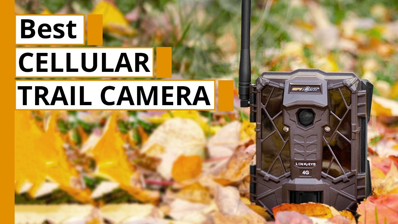 Best Cellular Trail Cameras